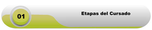 etapas del cursado